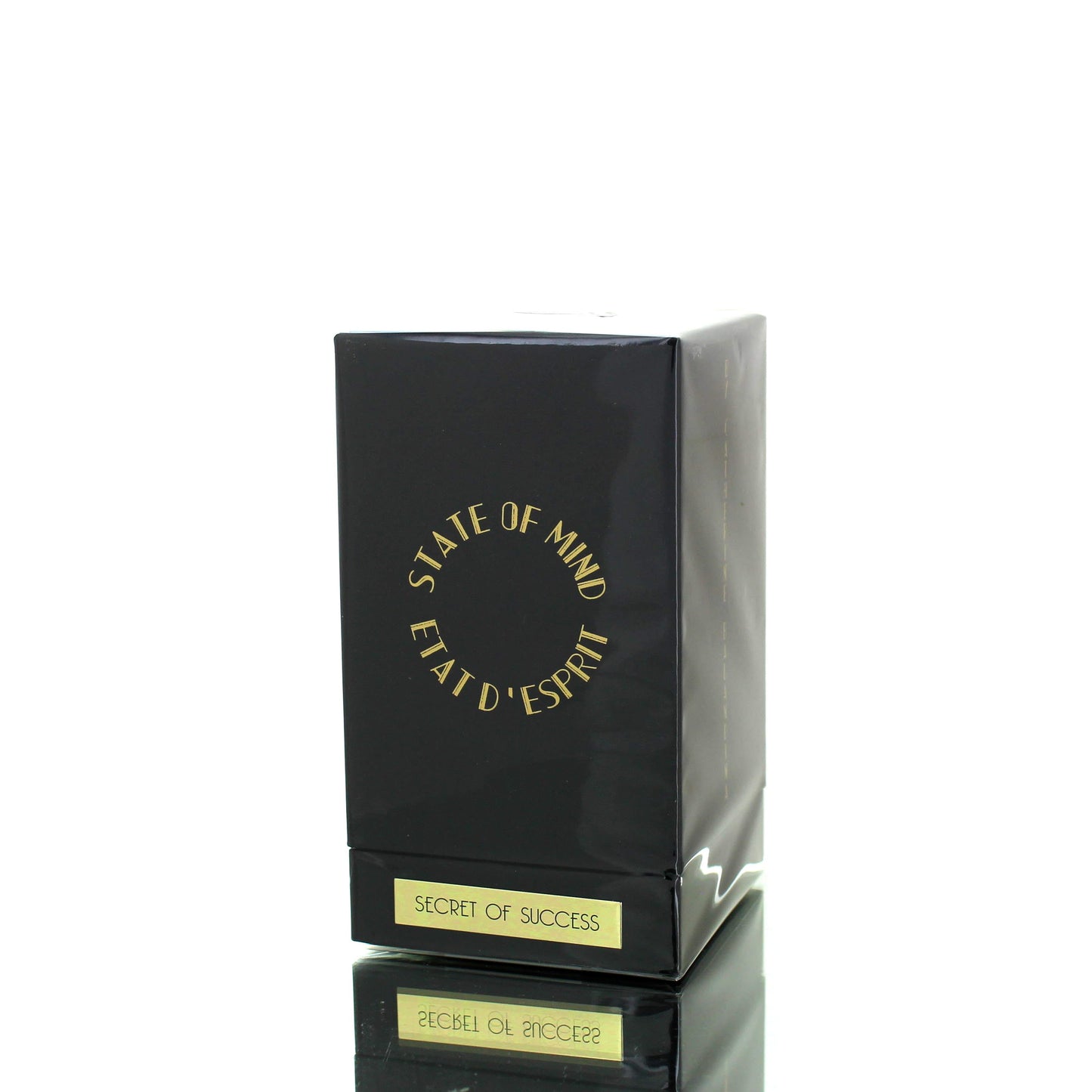 State Of Mind Secret Of Success For Man/Woman